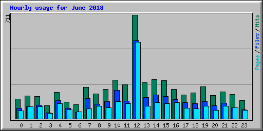 Hourly usage for June 2018